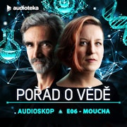 Audioskop: Moucha